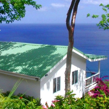 Bed and Breakfast Nature'S Paradise Marigot Bay Exteriér fotografie
