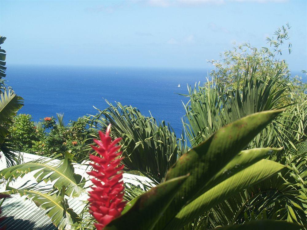 Bed and Breakfast Nature'S Paradise Marigot Bay Exteriér fotografie