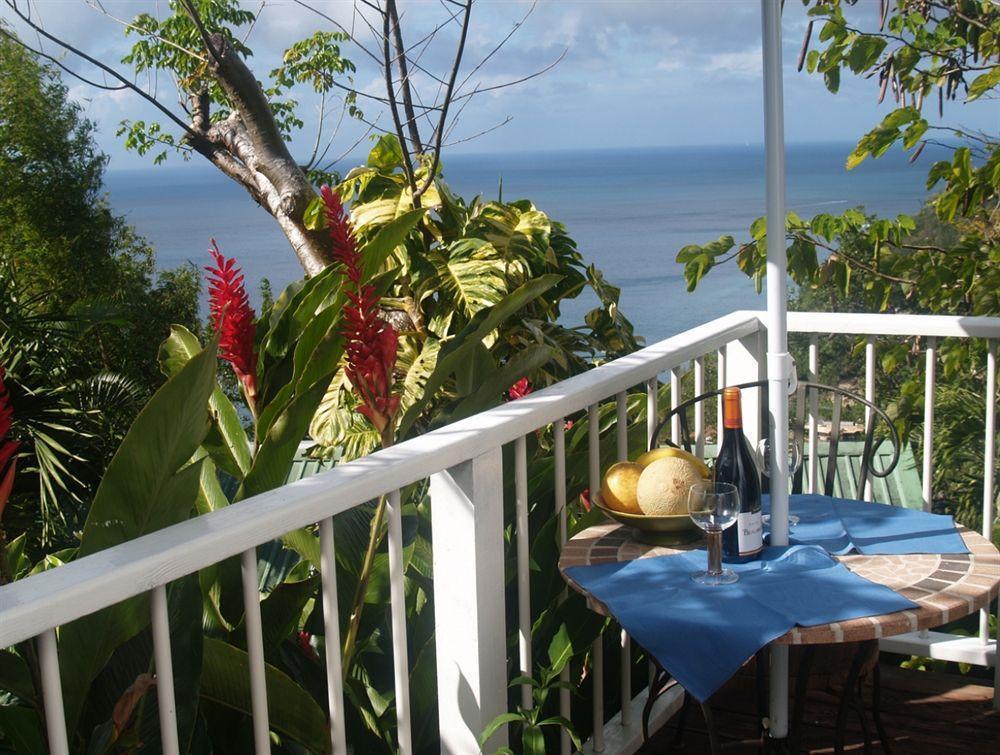 Bed and Breakfast Nature'S Paradise Marigot Bay Exteriér fotografie