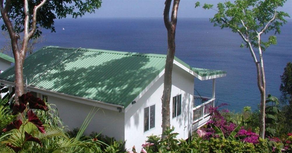 Bed and Breakfast Nature'S Paradise Marigot Bay Exteriér fotografie