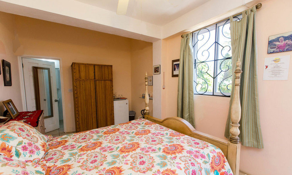 Bed and Breakfast Nature'S Paradise Marigot Bay Exteriér fotografie