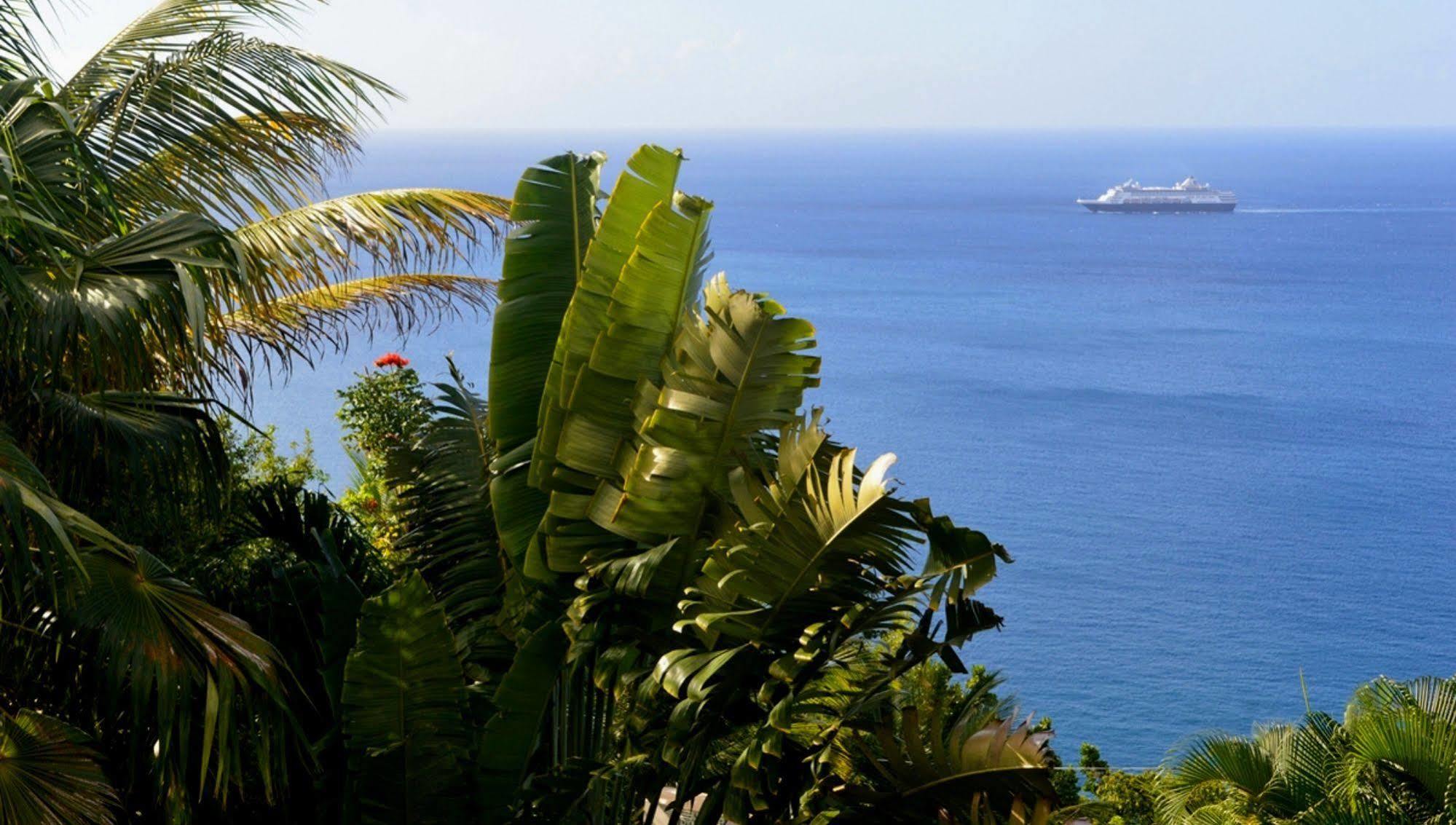 Bed and Breakfast Nature'S Paradise Marigot Bay Exteriér fotografie