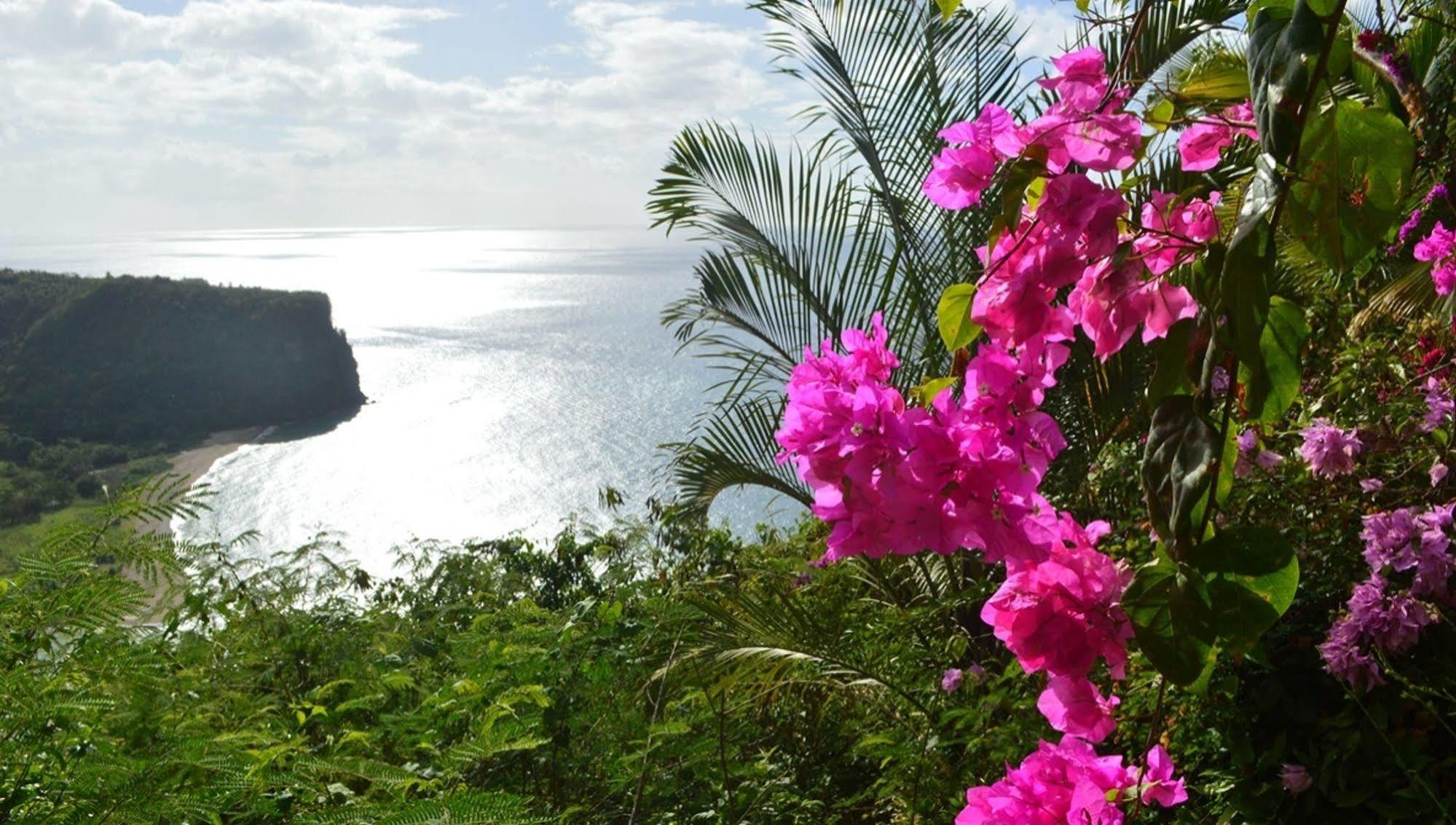 Bed and Breakfast Nature'S Paradise Marigot Bay Exteriér fotografie
