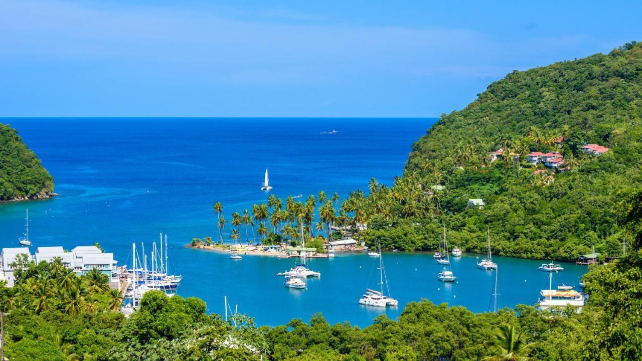Bed and Breakfast Nature'S Paradise Marigot Bay Exteriér fotografie